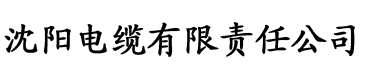 道具h电缆厂logo